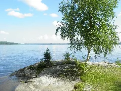 Pääjärvi Ronni Koivu