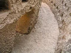 Palomares 8
