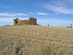 Palomares 9