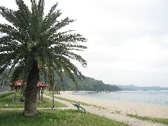 片添ヶ浜 Panoramio (1)