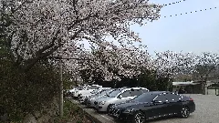 두량 횟집 Panoramio