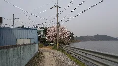 사천 두량 저수지 Panoramio