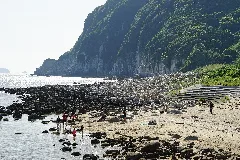 柏島の断崖 Panoramio