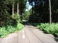 島根県道１７１号線 Panoramio