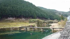 高樋沈下橋 Panoramio