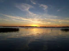 Pelican Sunset Panoramio