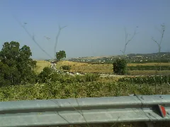 Pista Ciclabile Panoramio