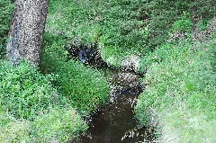 Podleský Potok (2)