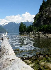 Porteaucovepp Log