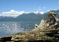 Porteaucovepp Stump