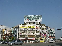 Publicité Pour L'entreprise Jangsaeng Doraji Co., Ltd., À Jinju