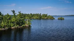 Rainy Lake From Tango Channel