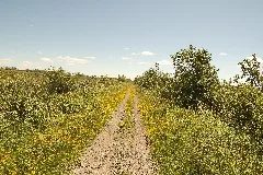 Riding Along The Rail Trail Panoramio
