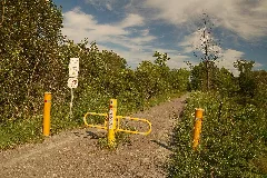 Road Crossing Markers Panoramio