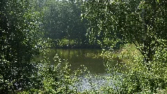 Rybníky U Dolní Poustevny Panoramio Jiří Bernard (1)