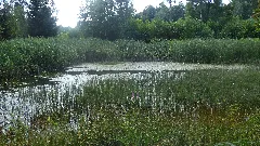 Rybníky U Dolní Poustevny Panoramio Jiří Bernard (2)