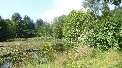 Rybníky U Dolní Poustevny Panoramio Jiří Bernard (6)
