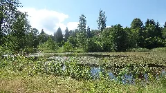 Rybníky U Dolní Poustevny Panoramio Jiří Bernard (7)