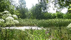 Rybníky U Dolní Poustevny Panoramio Jiří Bernard (8)