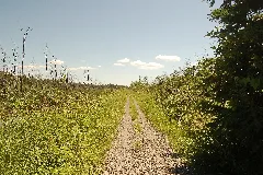 Scugog, On, Canada Panoramio (1)