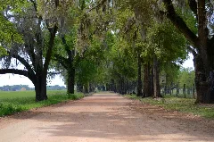 Shady Lane Panoramio