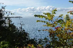 Sibbald Point Provincial Park A View To Lake Simcoe