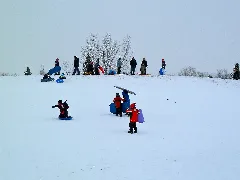 Sledding In Poland