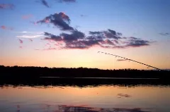 Sommar På Långsvan Panoramio