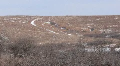 Spring Creek Prairie Wagon Ruts From W 1