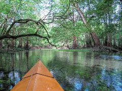 Spring Run Florida Caverns State Park Panoramio (1)