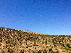 Stanislaus County, Ca, Usa Panoramio (1)