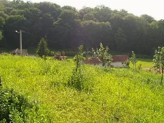 Stara Marča Village Masterhold Panoramio