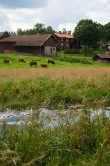 Stimmerbo 4