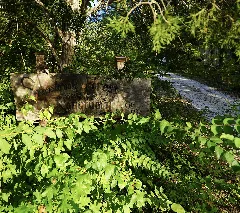 Stonebrook Property
