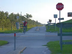 Stop Means Stop