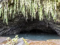 Tahiti, French Polynesia Water Gardens Vaipahi (48043923363)