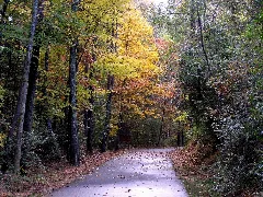 Tallulah Gorge Biking Trail Panoramio