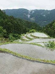 棚田 Tanada, Tokushima Kamikatsu, May 2011 (5766548453)