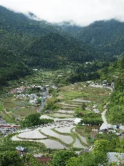 棚田 Tanada Tokushima Kamikatsu, May 2011 (5767092654)