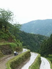 棚田 Tanada Tokushima Kamikatsu, May 2011 (5767094000)