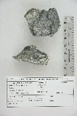 Tetrahedrite (40803030613)