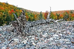 Textures & Colour (14913282954)