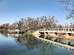 The Little Bridge And Damn (25169888858)