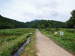 Tombo Shizen Koen 20100710 01
