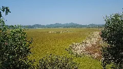 Upo Wetland's Birds