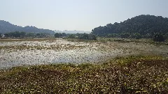 Upo Wetlands. 우포늪