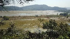 Upo Wetlands In The Fall. View From Observatory