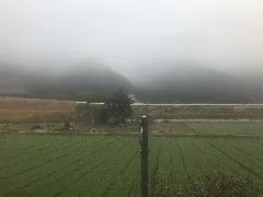 View From Train At Shikaga Station