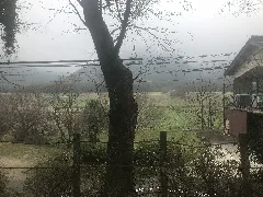 View From Train At Tazu Station