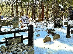 Winter Sonata Nami Island